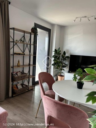 Apartamento en alquiler en Valencia (Valencia)