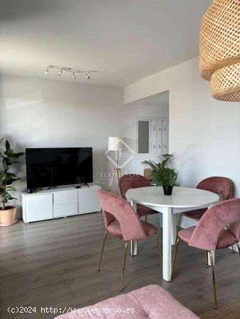 Apartamento en alquiler en Valencia (Valencia)