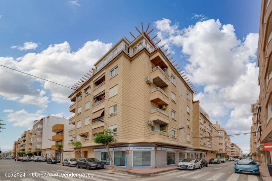 Apartamento en venta en Torrevieja (Alicante)