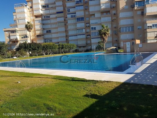  Apartamento en alquiler en Algarrobo (Málaga) 