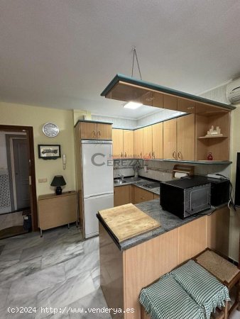 Apartamento en alquiler en Algarrobo (Málaga)