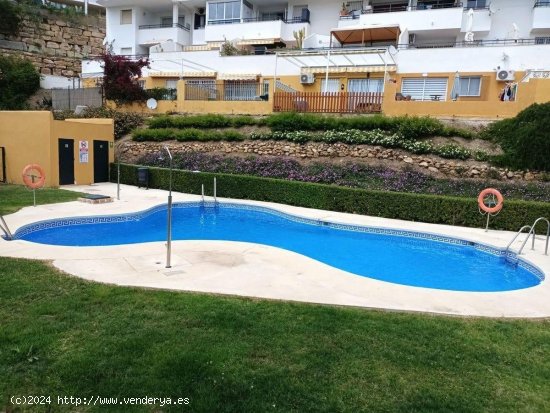 Apartamento en alquiler en Mijas (Málaga)