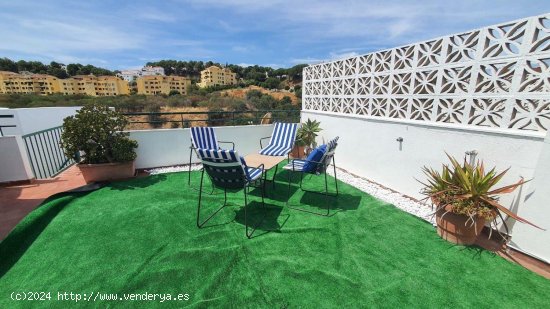 Apartamento en alquiler en Mijas (Málaga)