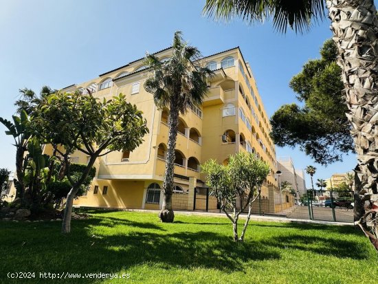 Apartamento en venta en Torrevieja (Alicante)