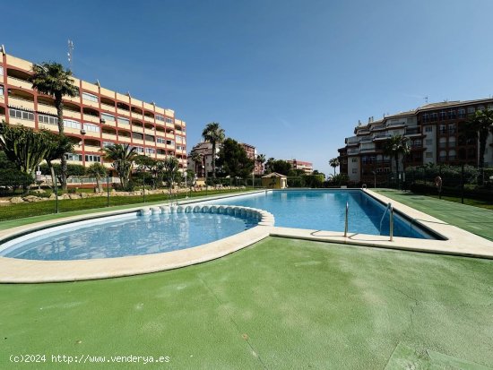 Apartamento en venta en Torrevieja (Alicante)