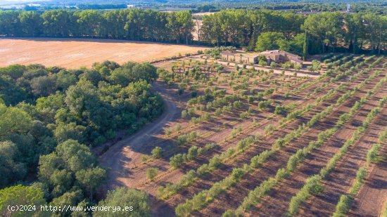 Casa en venta en Llagostera (Girona)