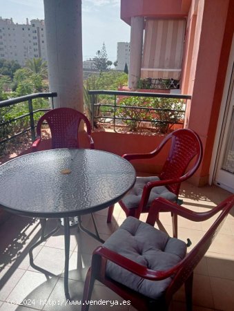 Apartamento en alquiler en Fuengirola (Málaga)