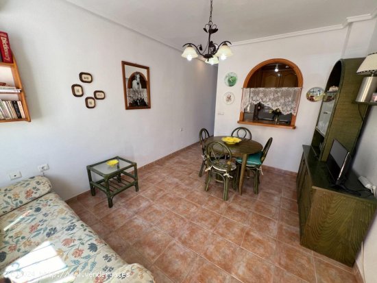 Casa en venta en Guardamar del Segura (Alicante)