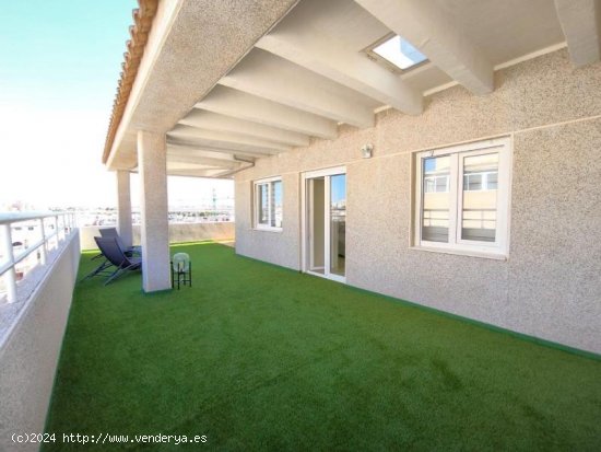 Piso en venta en Torrevieja (Alicante)