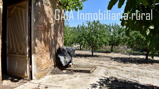 Finca en venta en Maella (Zaragoza)