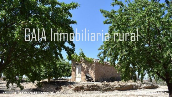 Finca en venta en Maella (Zaragoza)