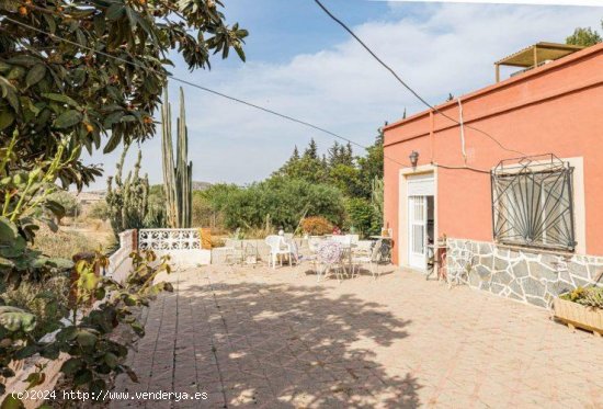 Villa en venta en Fuente Álamo de Murcia (Murcia)