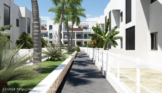 Apartamento en venta a estrenar en Pilar de la Horadada (Alicante)