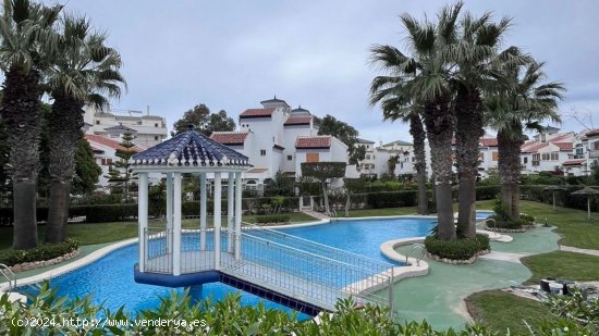 Bungalow en venta en Torrevieja (Alicante)