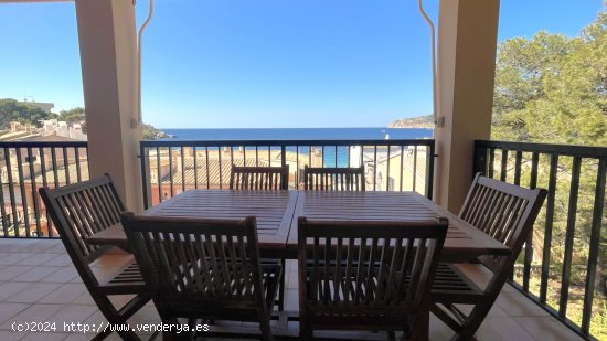 Apartamento en alquiler en Andratx (Baleares)