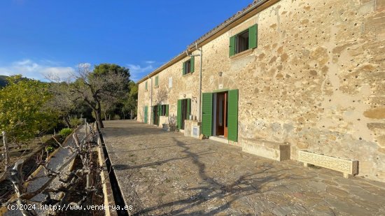 Finca en alquiler en Andratx (Baleares)