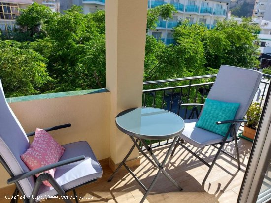 Apartamento en alquiler en Torremolinos (Málaga)