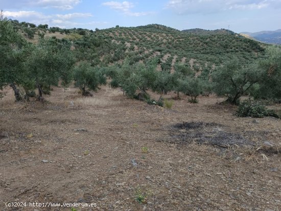 Finca en venta en Puebla del Maestre (Badajoz)