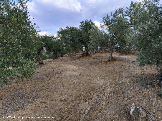 Finca en venta en Puebla del Maestre (Badajoz)