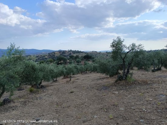 Finca en venta en Puebla del Maestre (Badajoz)