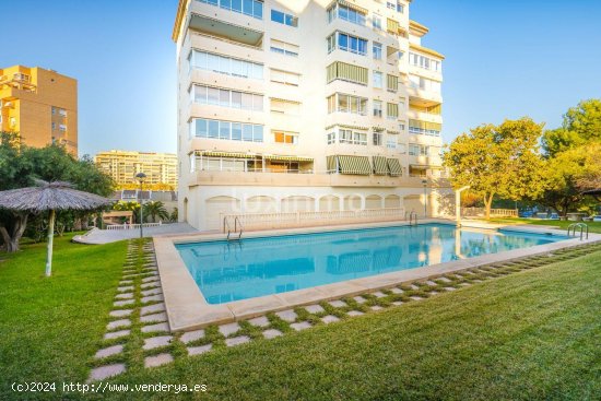 Apartamento en alquiler en Alicante (Alicante)