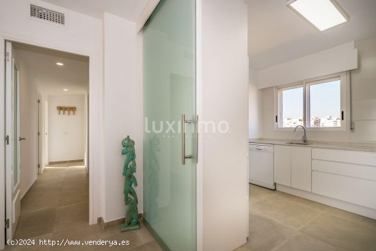 Apartamento en alquiler en Alicante (Alicante)