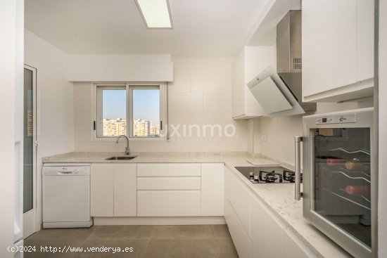 Apartamento en alquiler en Alicante (Alicante)