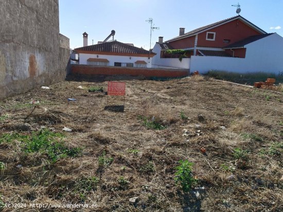 Solar en venta en Monesterio (Badajoz)