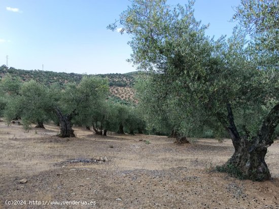  Finca en venta en Puebla del Maestre (Badajoz) 