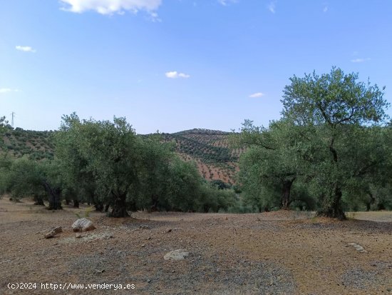 Finca en venta en Puebla del Maestre (Badajoz)