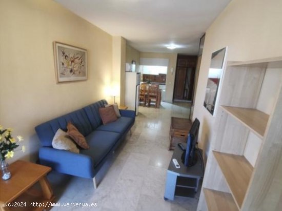 Apartamento en alquiler en Granada (Granada)