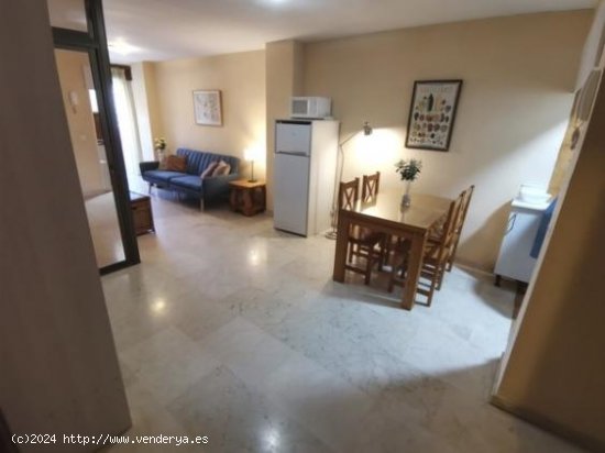 Apartamento en alquiler en Granada (Granada)