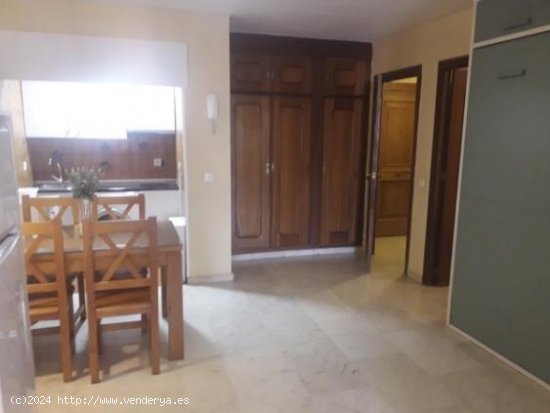 Apartamento en alquiler en Granada (Granada)