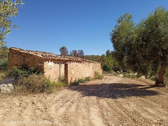  Casa en venta en Arens de Lledó (Teruel) 