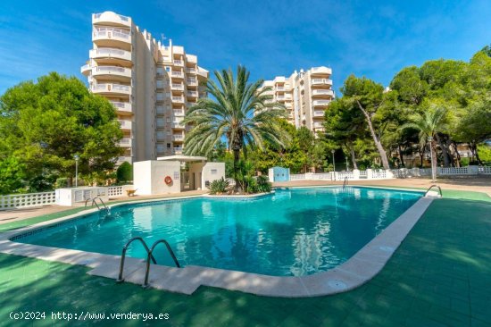 Apartamento en venta en Orihuela (Alicante)