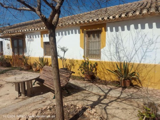 Villa en venta en Fuente Álamo de Murcia (Murcia)