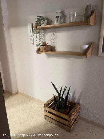 Apartamento en alquiler en Benalmádena (Málaga)