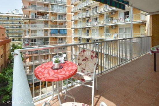 Apartamento en alquiler en Calpe (Alicante)