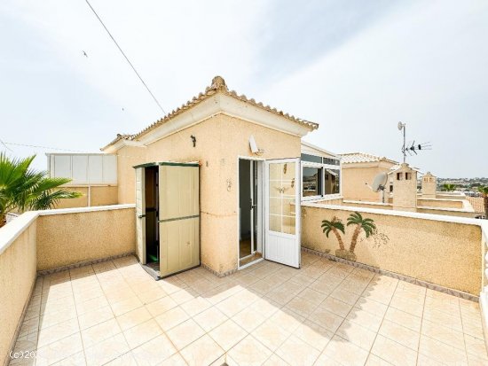 Chalet en venta en Torrevieja (Alicante)