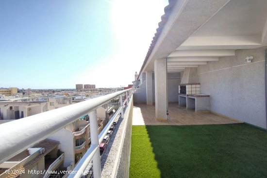 Apartamento en venta en Torrevieja (Alicante)