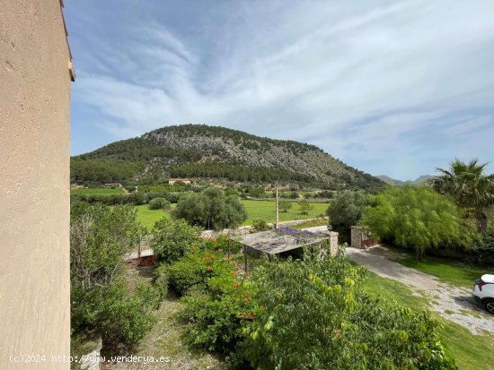 Finca en alquiler en Pollença (Baleares)