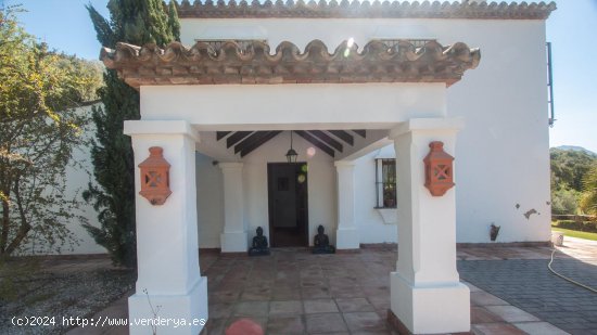 Finca en venta en Gaucín (Málaga)