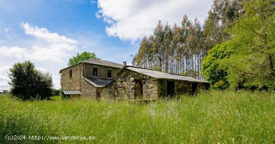 Finca en venta en Vilalba (Lugo)