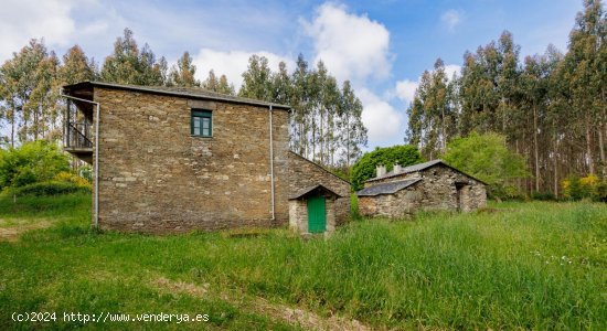 Finca en venta en Vilalba (Lugo)