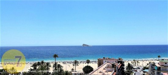 Apartamento en venta en Benidorm (Alicante)