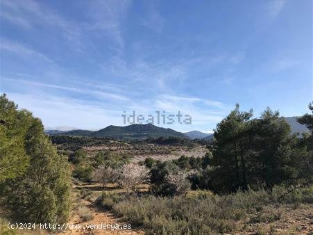  Finca en venta en Valderrobres (Teruel) 