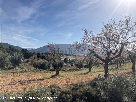 Finca en venta en Valderrobres (Teruel)