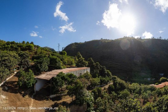 Casa en venta en Firgas (Las Palmas)