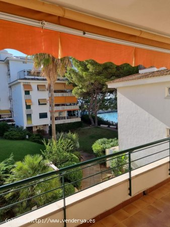 Apartamento en alquiler en Calvià (Baleares)