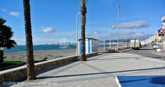 Apartamento en alquiler en Algarrobo (Málaga)